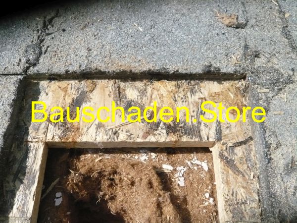 P1040182_Baudetails_001