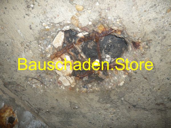 P1050654_Baudetails_002