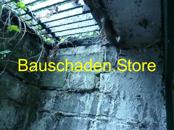 P1060799_Impression_003