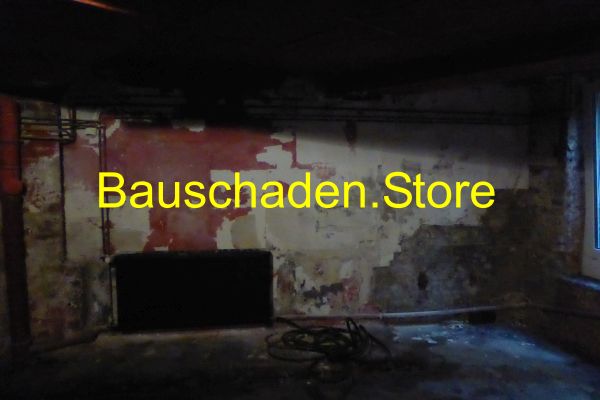 P1300329_Impression_004